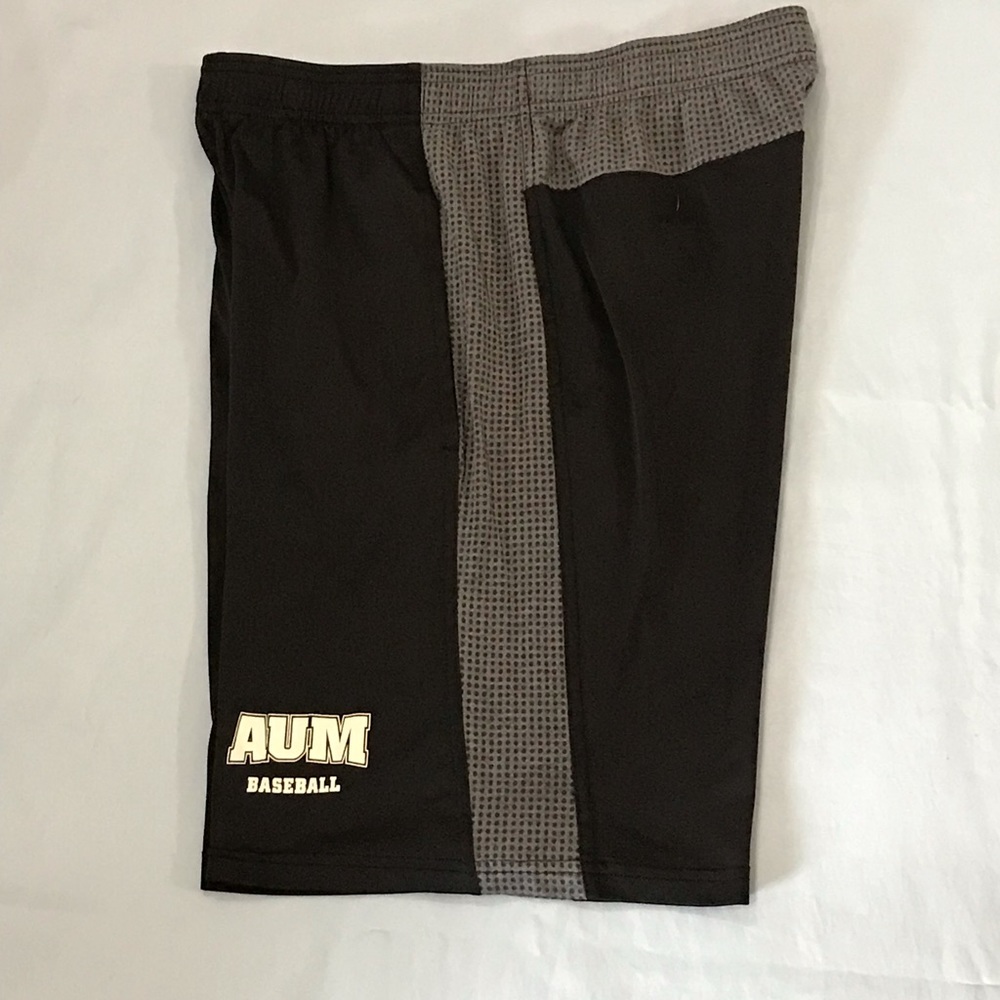 Mens Black & Gray Adidas Climacool Dri-Fit Athletic Shorts
Gym
AUM Baseball - Picture 7 of 15